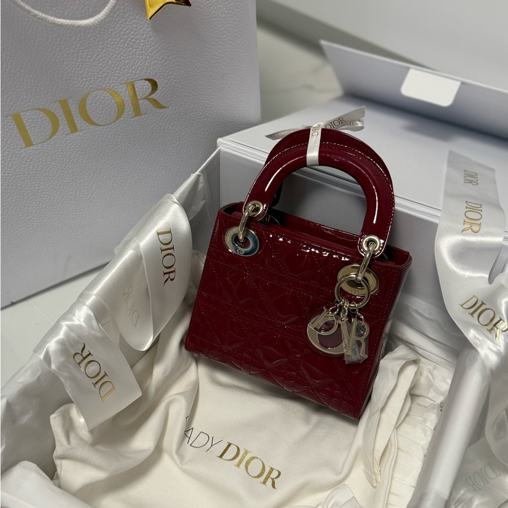 Dior Burgundy Handbag with Louboutin Heels